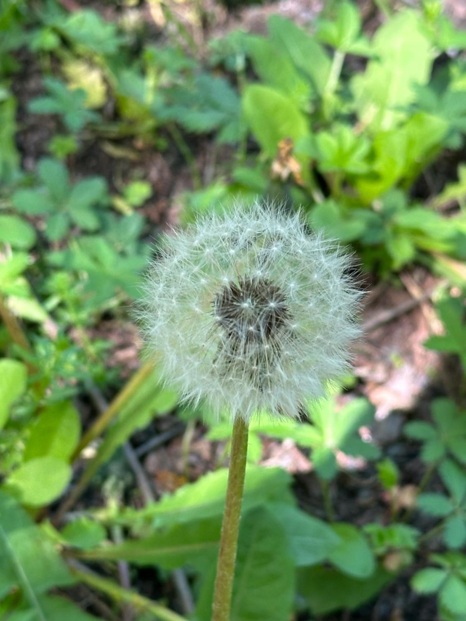 Green House 크바렐리 외부 사진